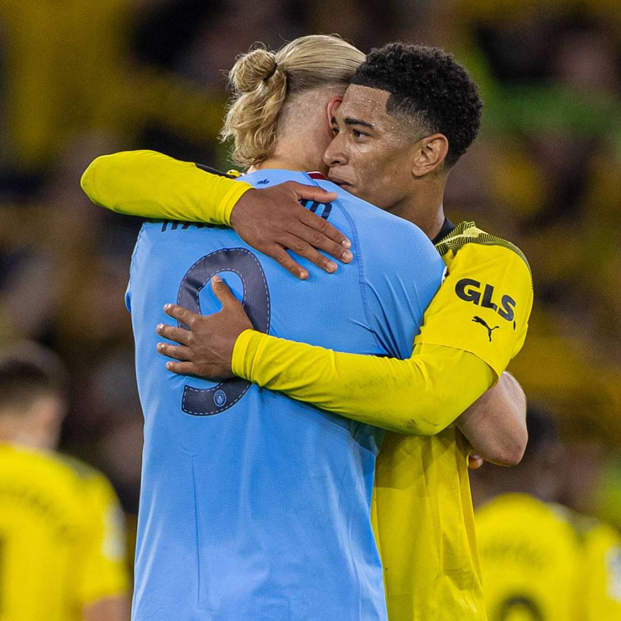 《双点博物馆》联动《狂野星球复仇记》免费更新上线！